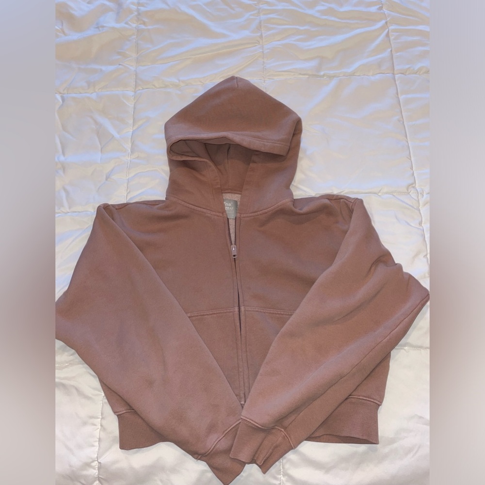 Aritzia hoodie